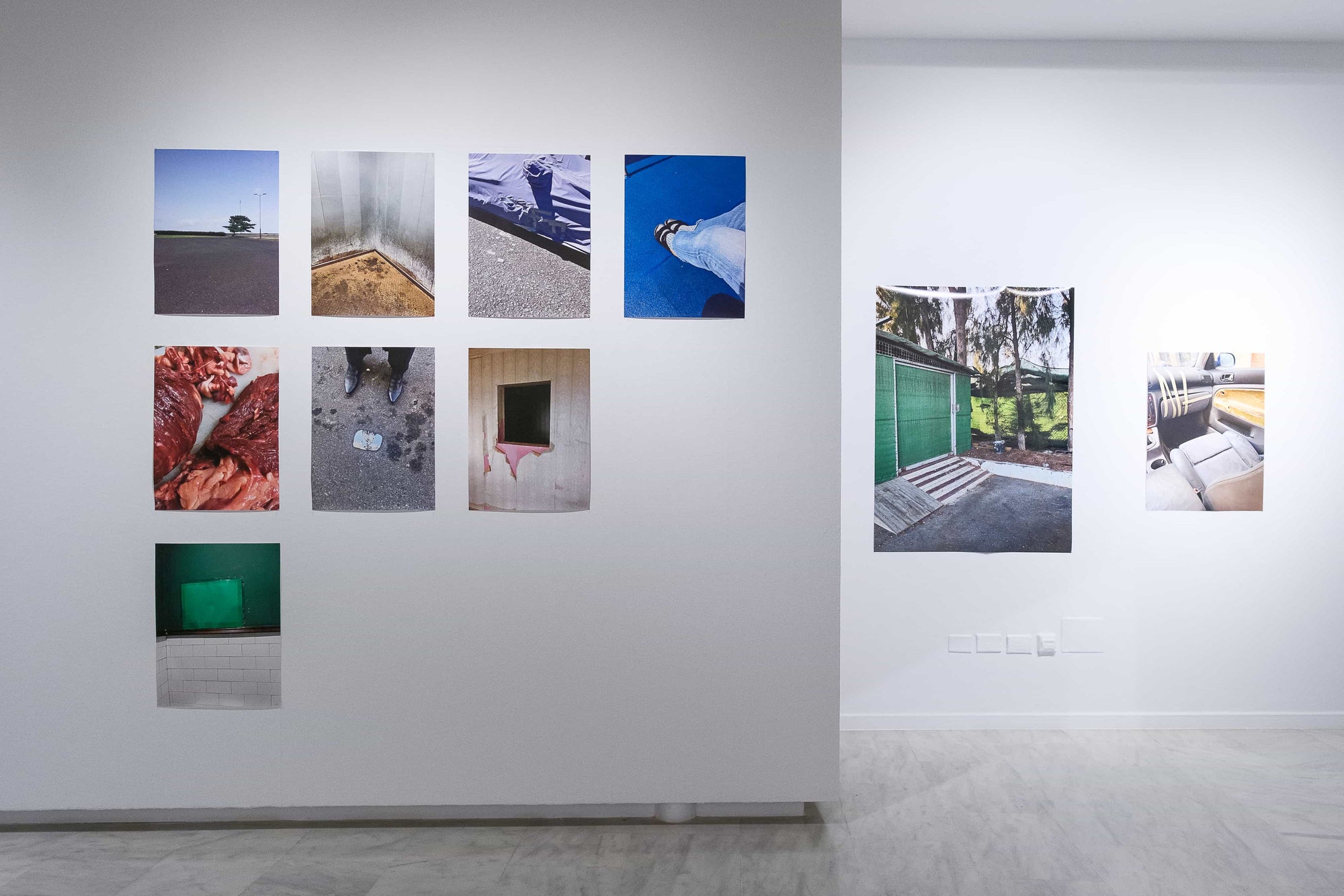 Es una transformación: el color de lo democrático a través del archivo visual de Daniel Rietti