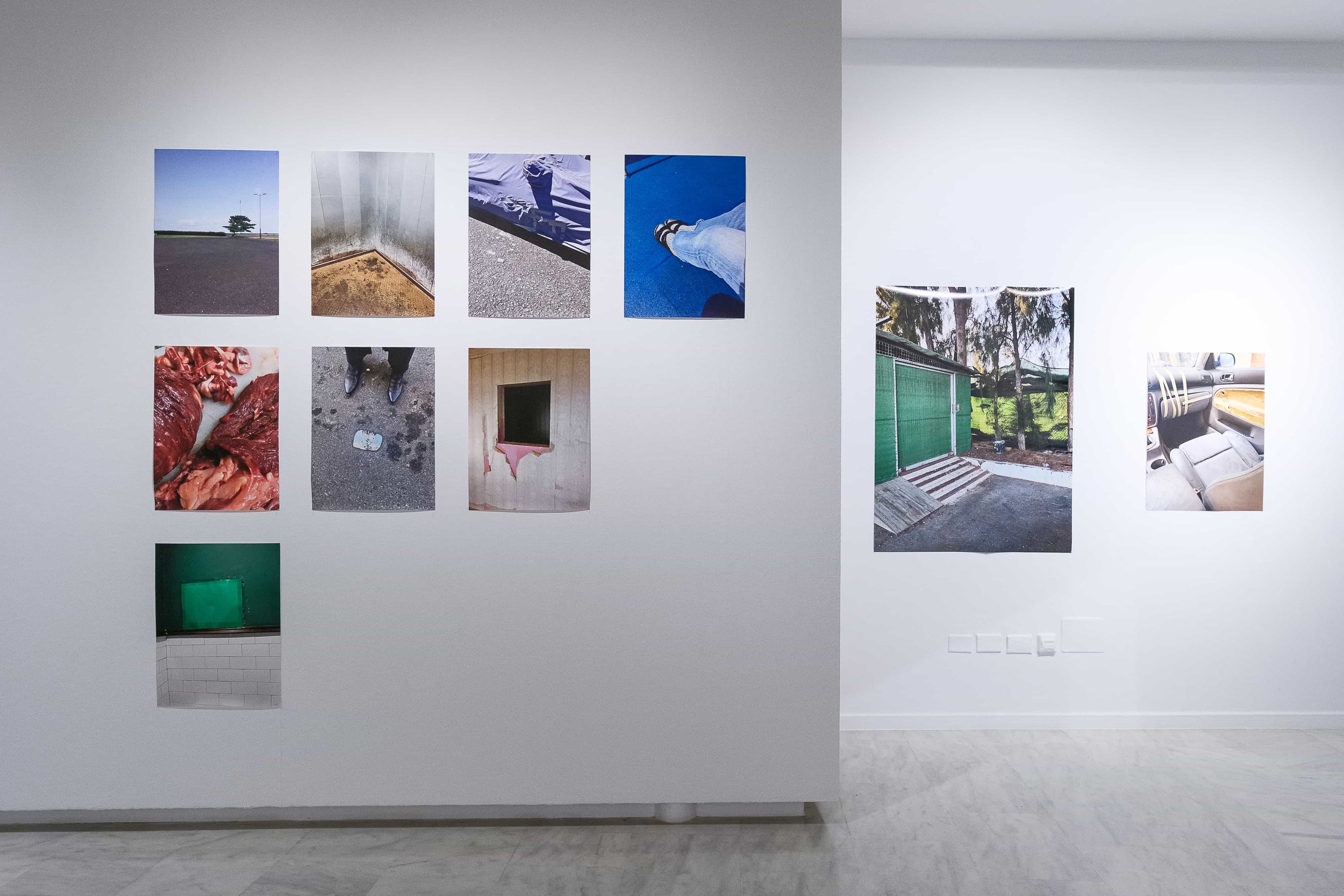 Es una transformación: el color de lo democrático a través del archivo visual de Daniel Rietti