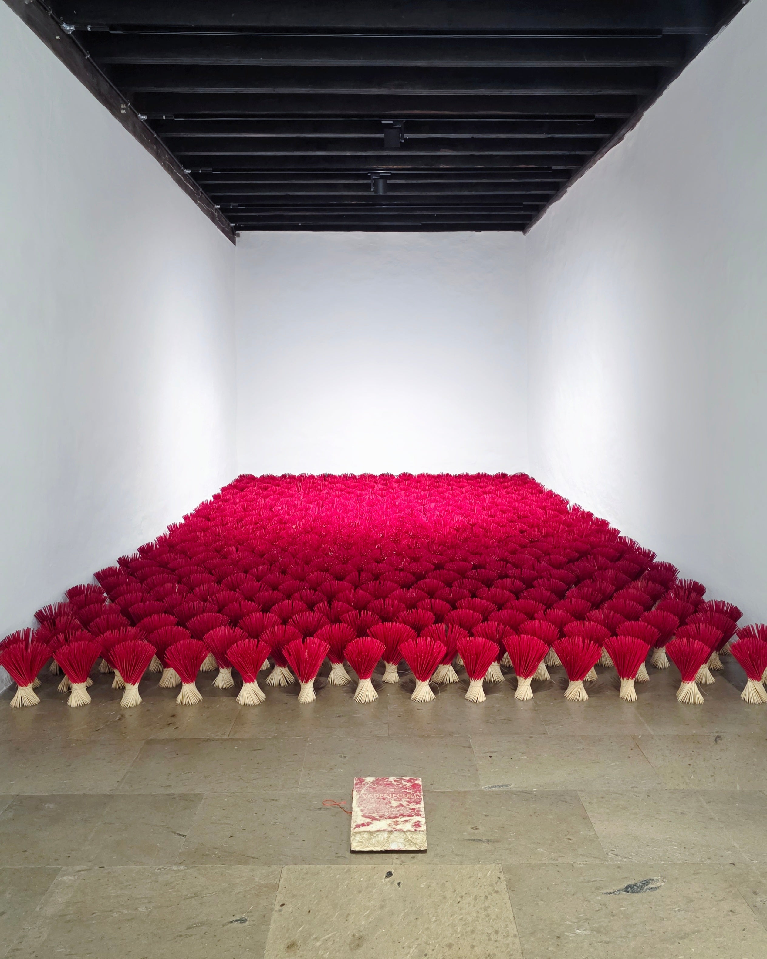 Sanar el territorio fragmentado en la exposición Decolonizar la piel, de Romina Rivero