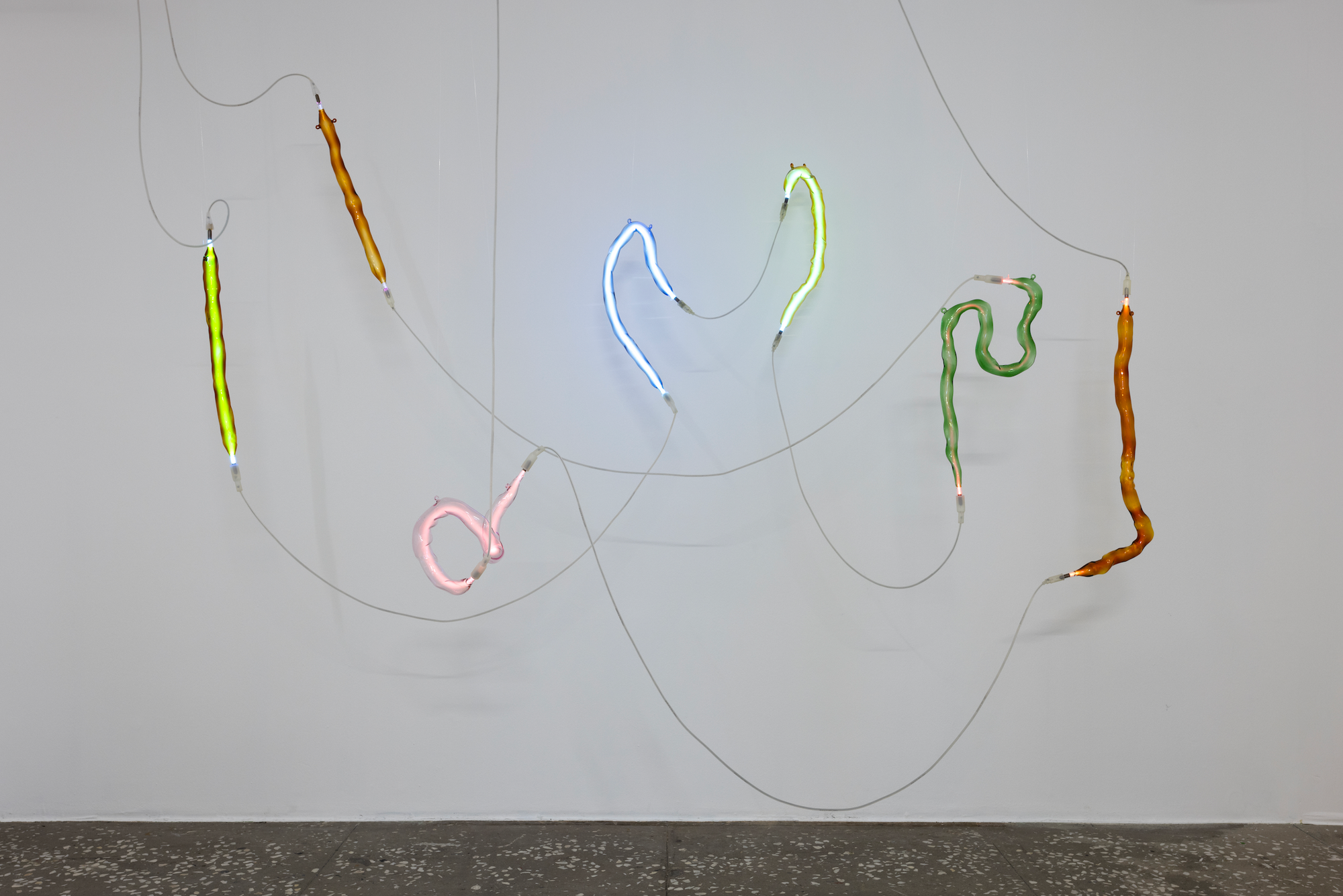 In Conversation: Saskia Fischer, un diálogo entre identidad y paisaje