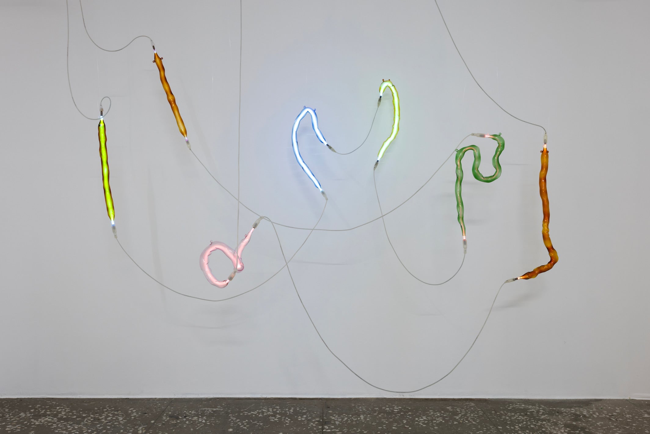 In Conversation: Saskia Fischer, a dialogue between identity and landscape