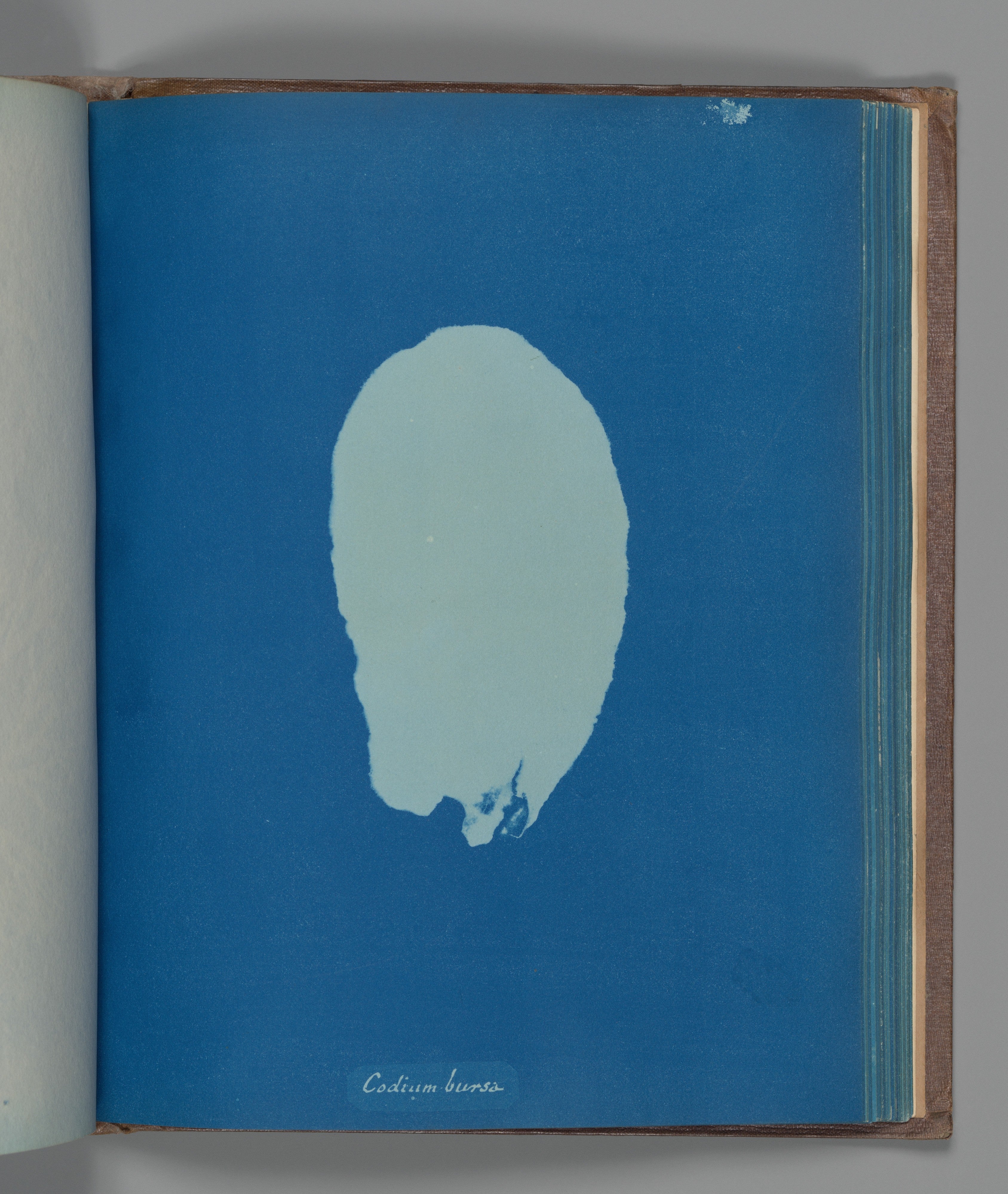 Los 4 aspectos del color: el tono, la saturación, la luminosidad y el matiz