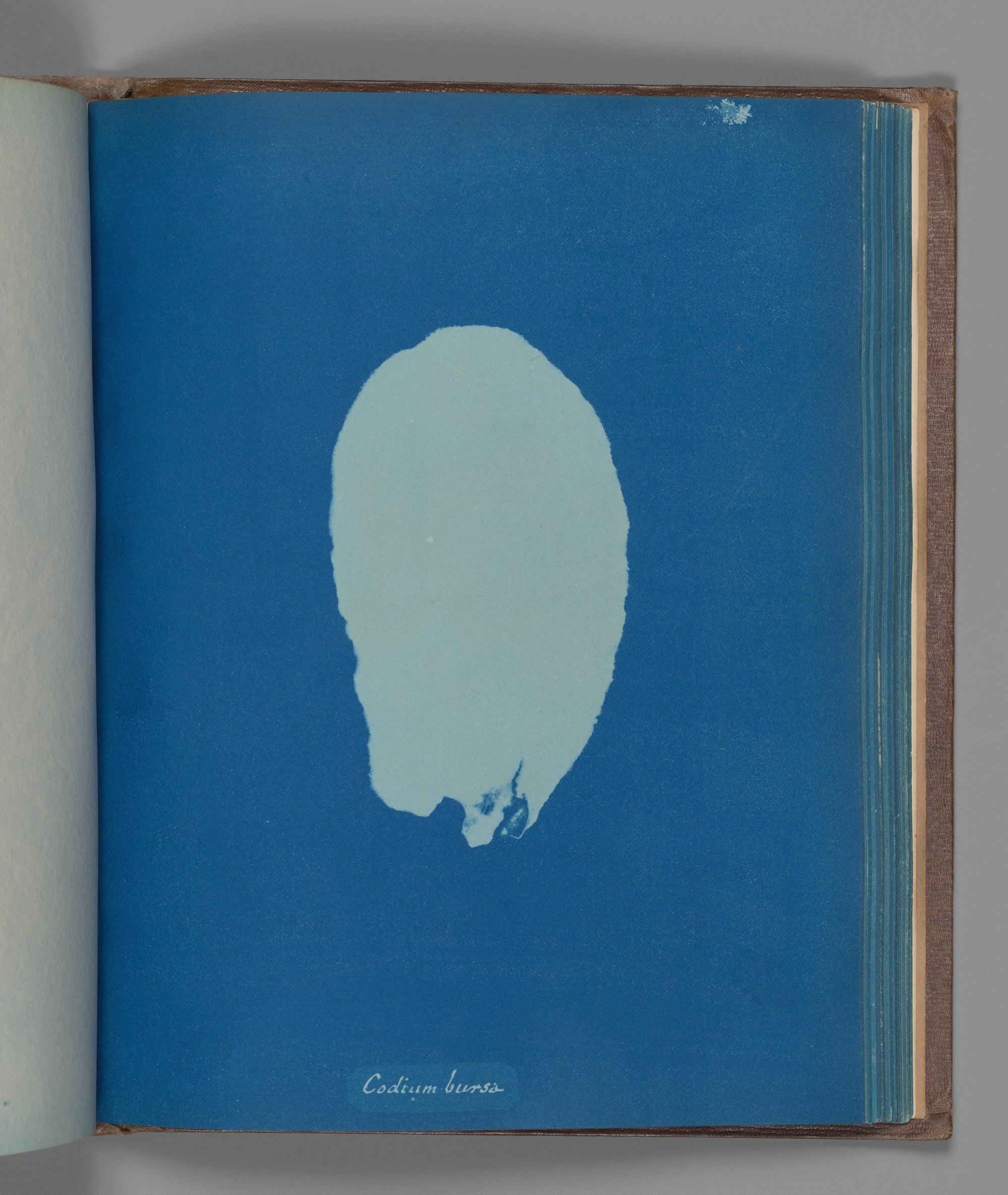 Los 4 aspectos del color: el tono, la saturación, la luminosidad y el matiz